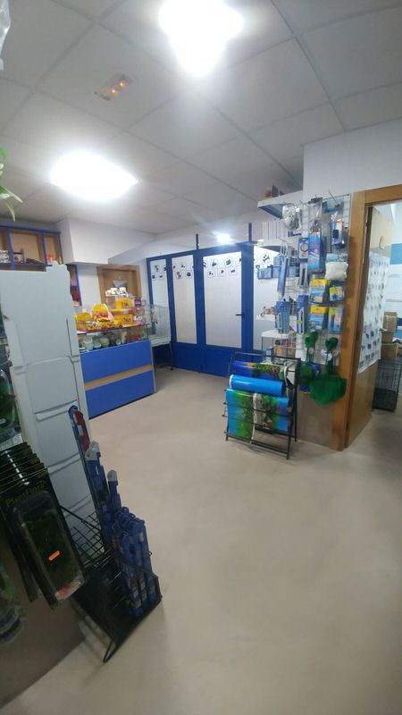 Suelo de local de microcemento de CementDecor